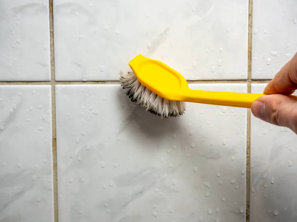 Best Office Mold Removal Services  in Joanna, SC