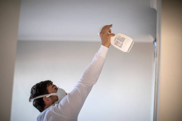 Best Mold Cleaning Services  in Joanna, SC