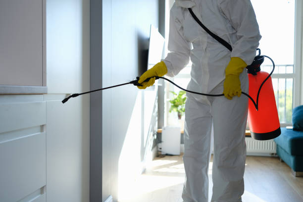 Best Toxic Mold Removal  in Joanna, SC