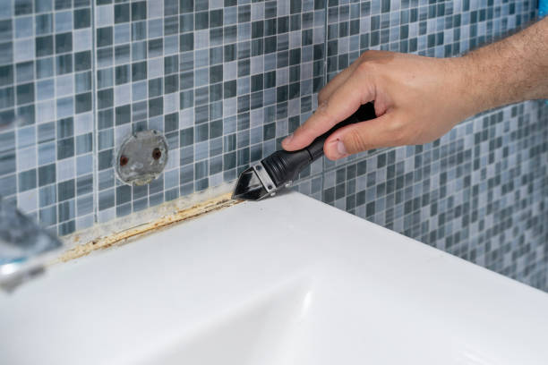 Reliable Joanna, SC Mold Removal Solutions